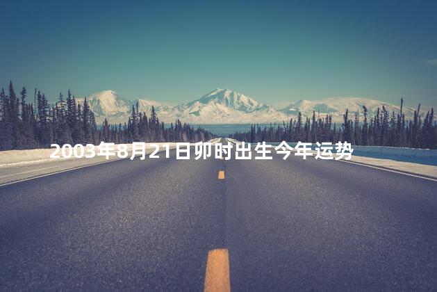 2003年8月21日卯时出生今年运势如何