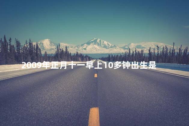 2009年正月十一早上10多钟出生是啥命格