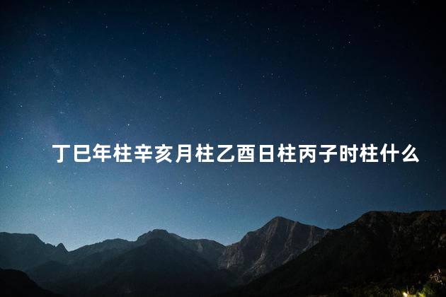 丁巳年柱辛亥月柱乙酉日柱丙子时柱什么年遇劫煞