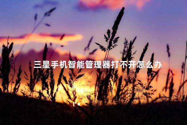 三星手机智能管理器打不开怎么办