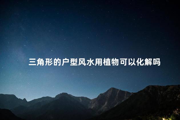 三角形的户型风水用植物可以化解吗