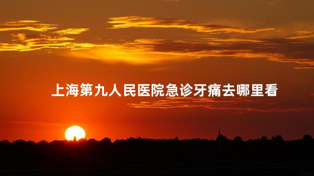 上海第九人民医院急诊牙痛去哪里看