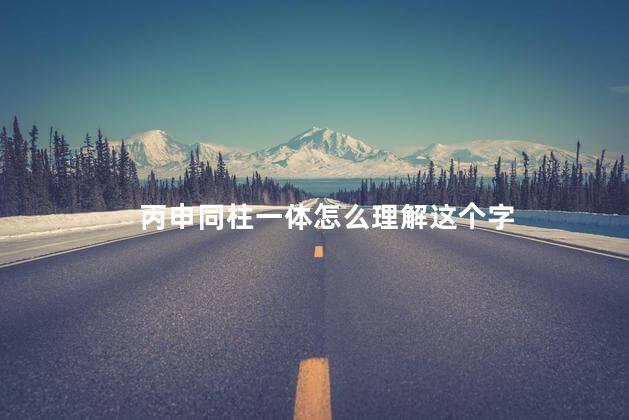 丙申同柱一体怎么理解这个字