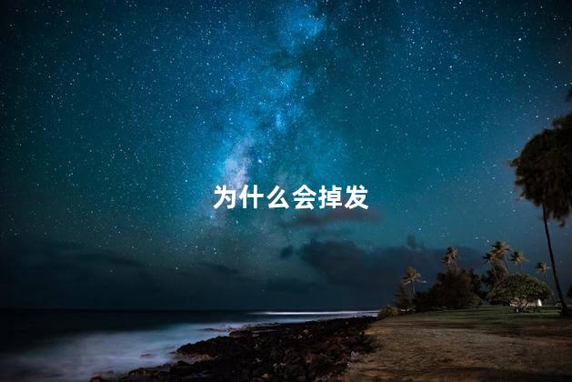 掉发怎么办 为什么会掉发