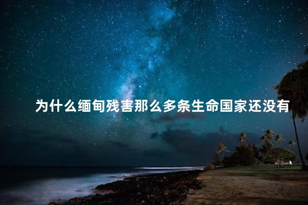 为什么缅甸残害那么多条生命国家还没有出面去管