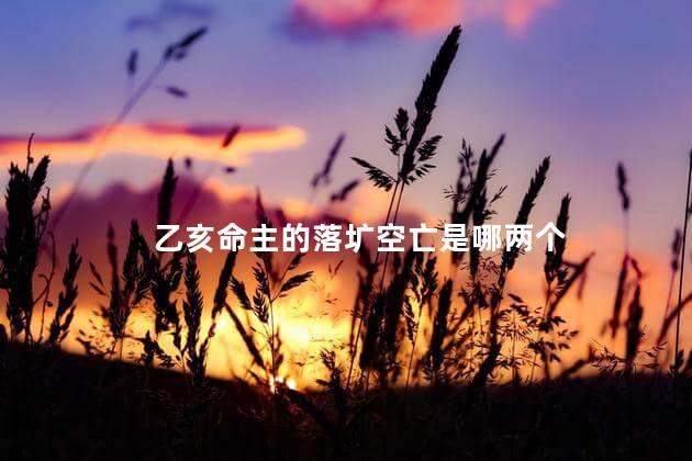 乙亥命主的落圹空亡是哪两个