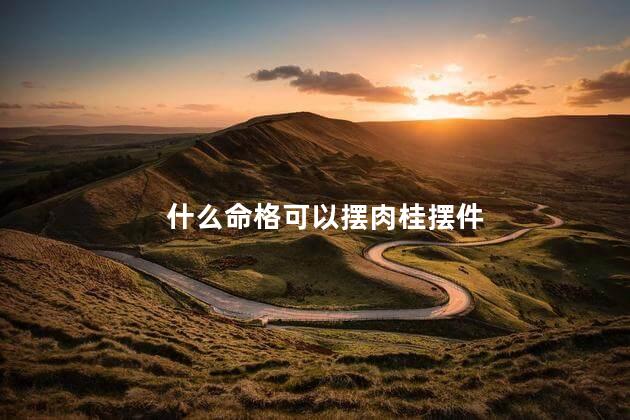 什么命格可以摆肉桂摆件