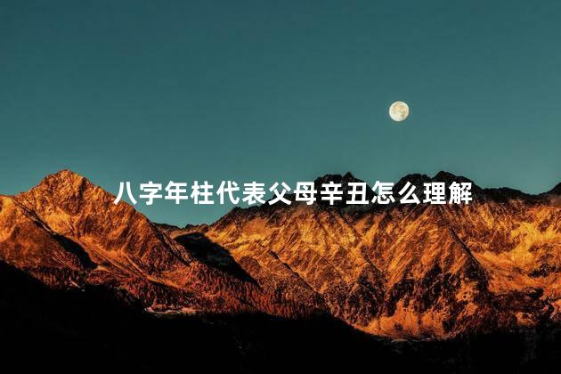 八字年柱代表父母辛丑怎么理解