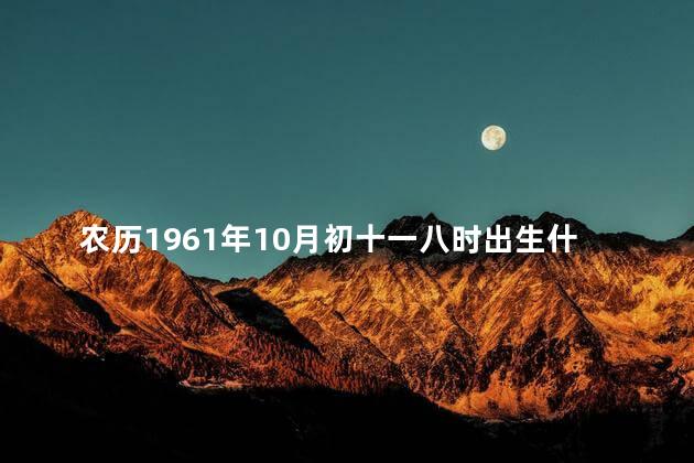 农历1961年10月初十一八时出生什么命