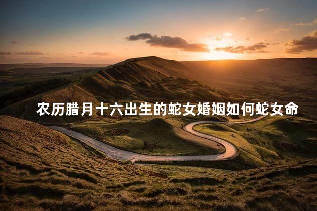 农历腊月十六出生的蛇女婚姻如何蛇女命好不好