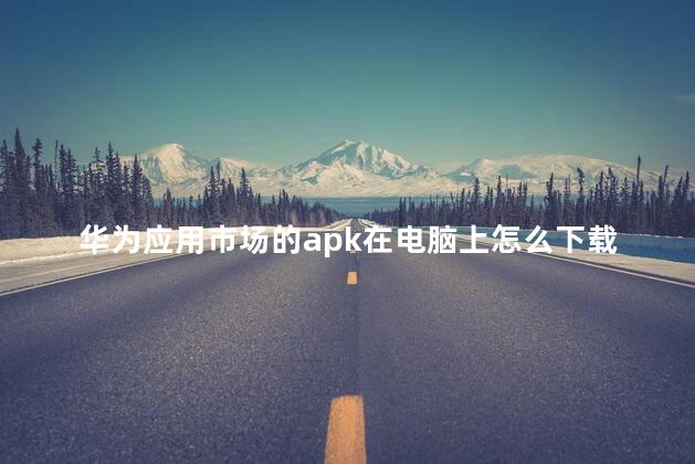 华为应用市场的apk在电脑上怎么下载