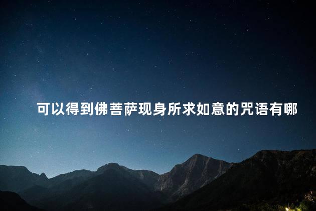 可以得到佛菩萨现身所求如意的咒语有哪些啊