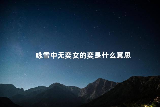 咏雪中无奕女的奕是什么意思