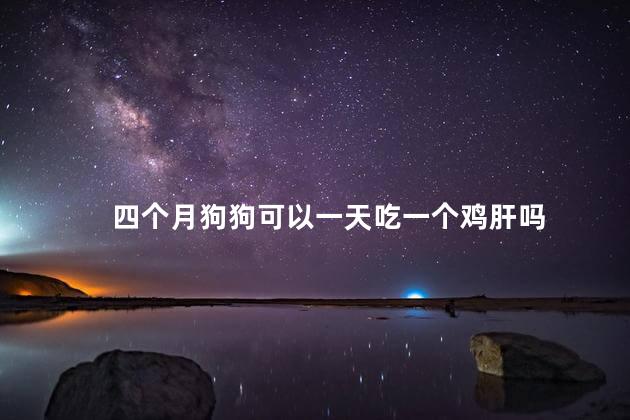 四个月狗狗可以一天吃一个鸡肝吗