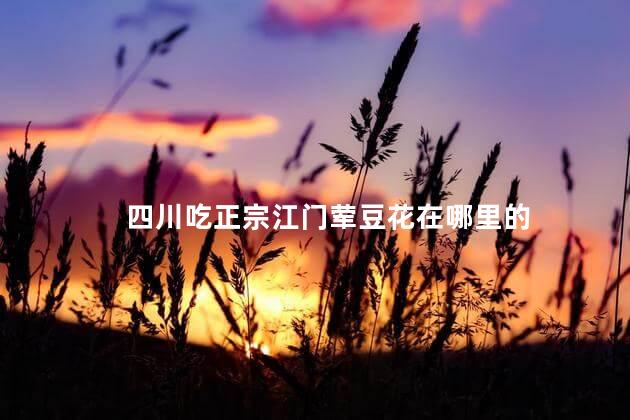 四川吃正宗江门荤豆花在哪里的