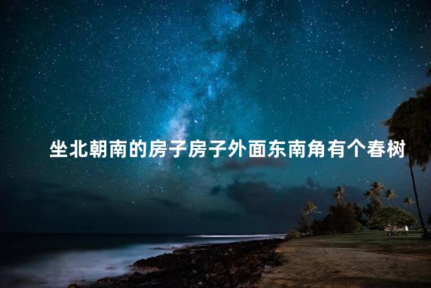 坐北朝南的房子房子外面东南角有个春树风水好不好