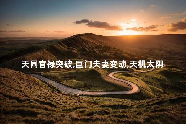天同官禄突破巨门夫妻变动天机太阴财帛机遇是什么意思