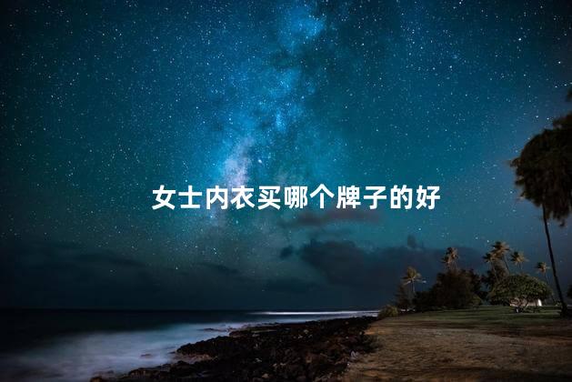 女士内衣买哪个牌子的好