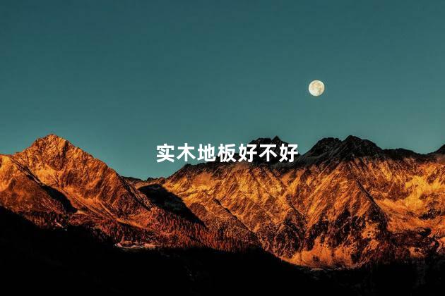 实木地板好不好