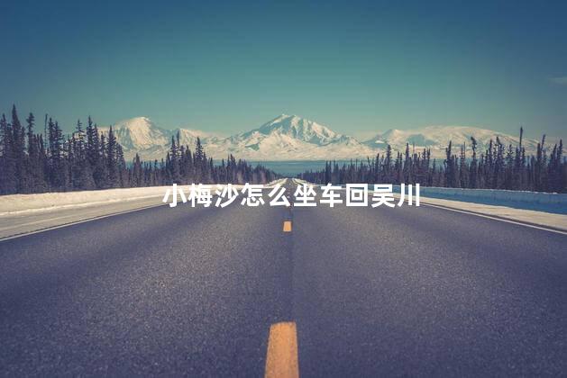 小梅沙怎么坐车回吴川