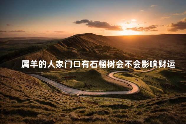 属羊的人家门口有石榴树会不会影响财运