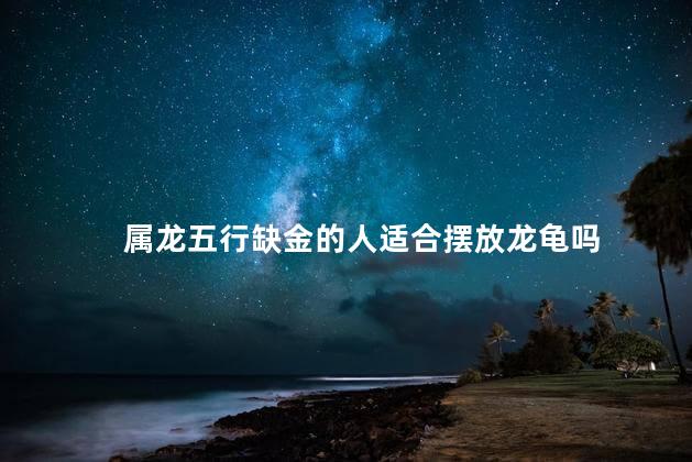 属龙五行缺金的人适合摆放龙龟吗