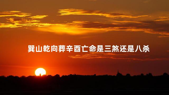 巽山乾向葬辛酉亡命是三煞还是八杀