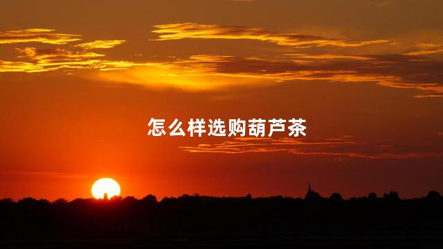 怎么样选购葫芦茶
