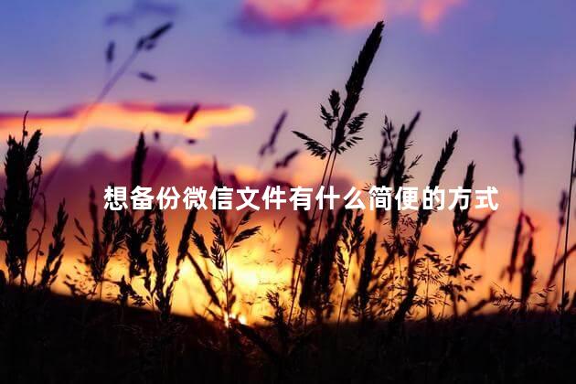 想备份微信文件有什么简便的方式