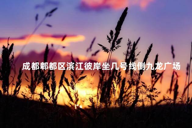 成都郫都区滨江彼岸坐几号线倒九龙广场比较近