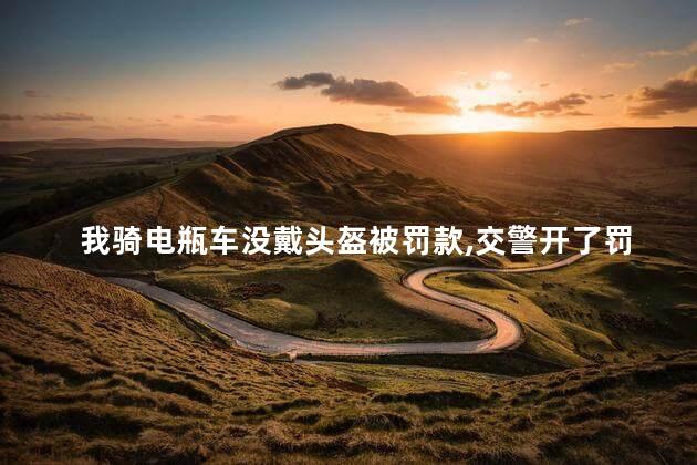 骑电瓶车没戴头盔被罚款交警开了罚单但是罚单上的二维码扫不出来咋办