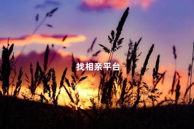 找相亲平台