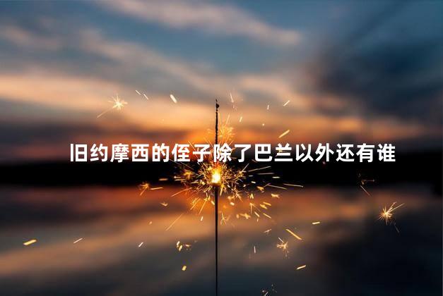 旧约摩西的侄子除了巴兰以外还有谁