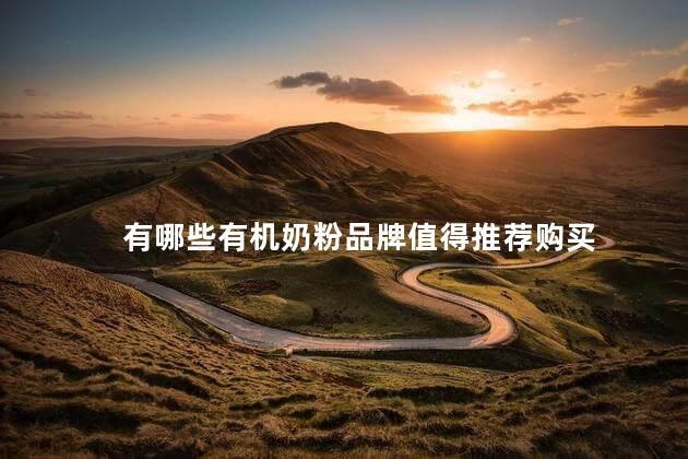 有哪些有机奶粉品牌值得推荐购买