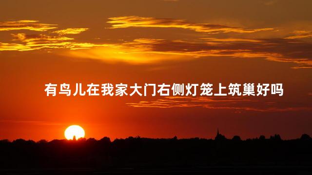 有鸟儿在我家大门右侧灯笼上筑巢好吗