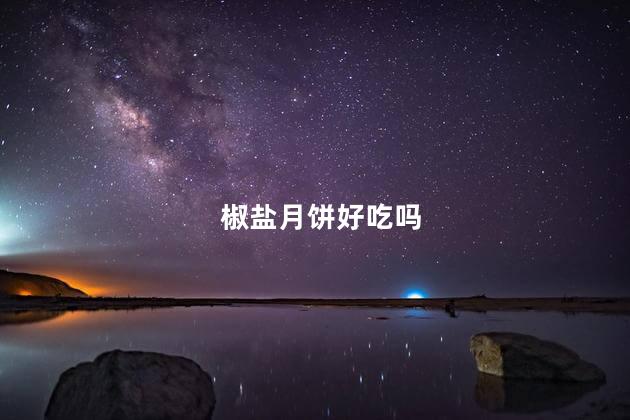 椒盐月饼好吃吗
