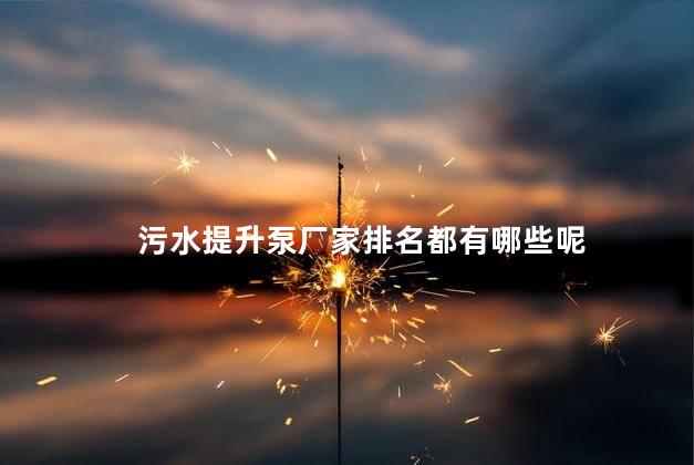 污水提升泵厂家排名都有哪些呢