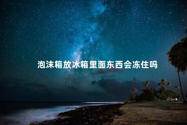 泡沫箱放冰箱里面东西会冻住吗