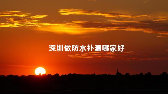 深圳做防水补漏哪家好