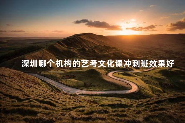 深圳哪个机构的艺考文化课冲刺班效果好