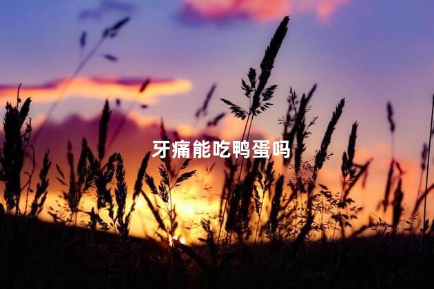牙痛能吃鸭蛋吗