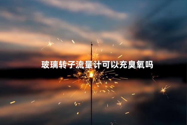 玻璃转子流量计可以充臭氧吗