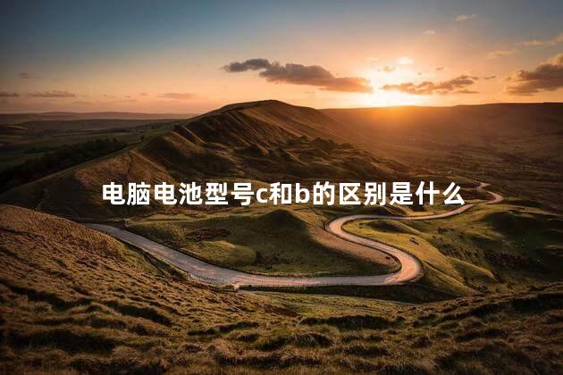 电脑电池型号c和b的区别是什么