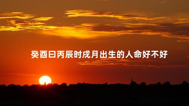 癸酉曰丙辰时戌月出生的人命好不好