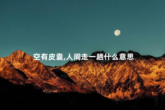 空有皮囊人间走一趟什么意思