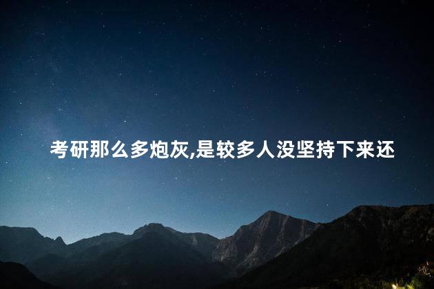 考研那么多炮灰，是较多人没坚持下来还是考研真的难
