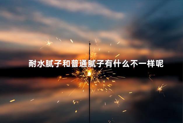 耐水腻子和普通腻子有什么不一样呢