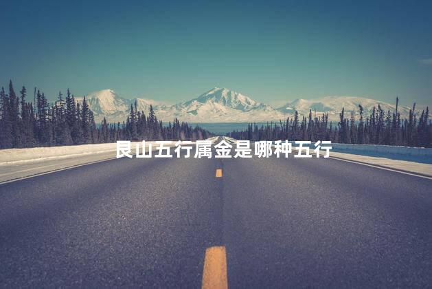 艮山五行属金是哪种五行