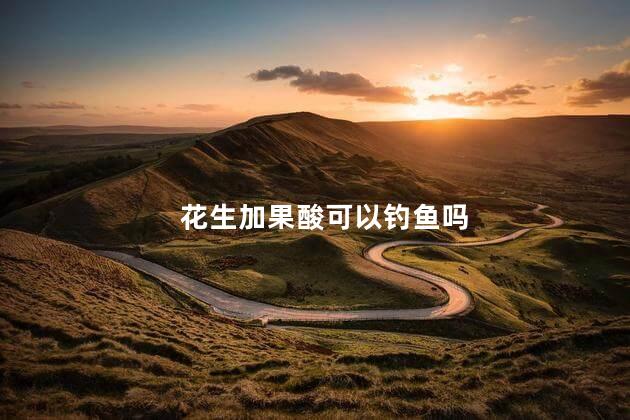 花生加果酸可以钓鱼吗