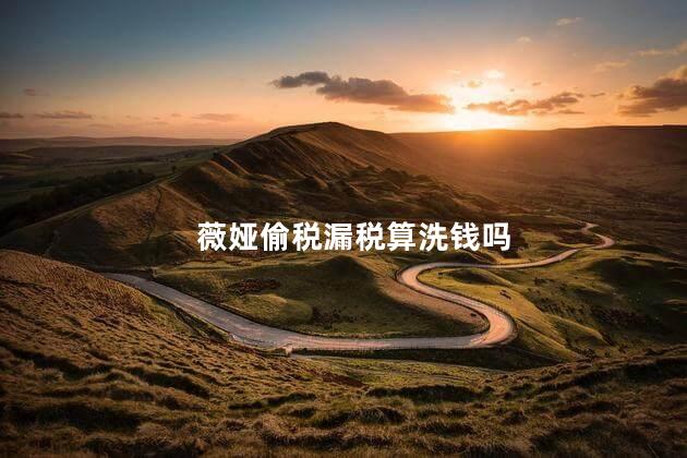 薇娅偷税漏税算洗钱吗